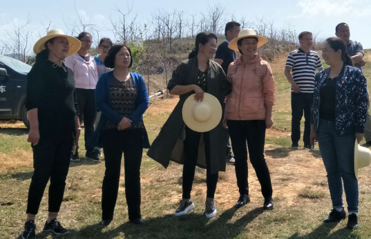 QQ图片20190419151913.png