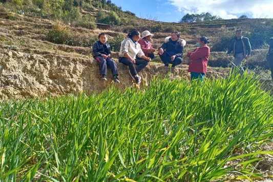 妇联干部深入田间地头 宣传政策_副本.jpg