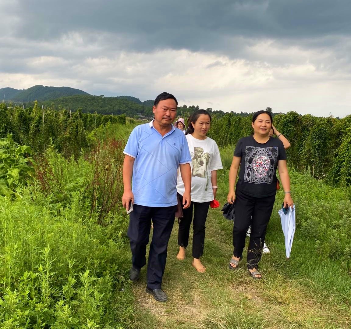 产业创新创业示范点，马站：淮山基地_副本.jpg