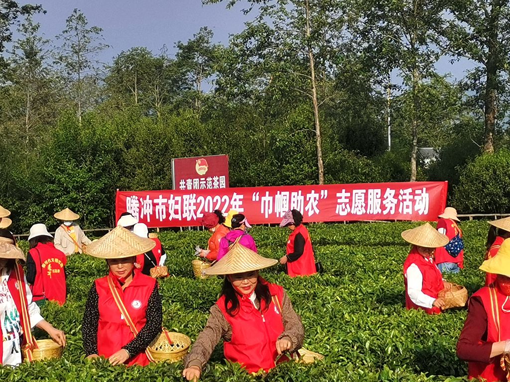 微信图片_20220427150411_副本.jpg