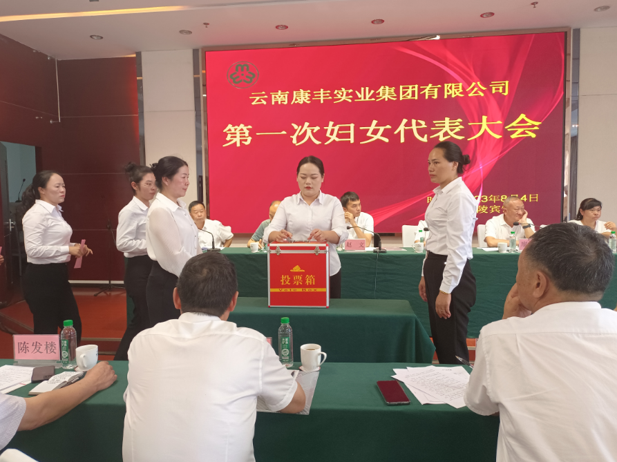 康丰4.PNG