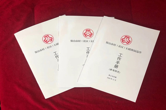 保山市妇联以"六个一"为抓手全力推进村级妇联组织换届工作